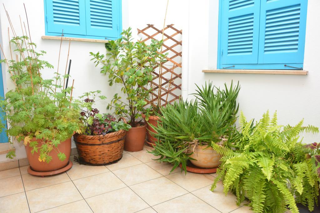 Cypriot Swallow Boutique Hotel Nicosia Exterior photo