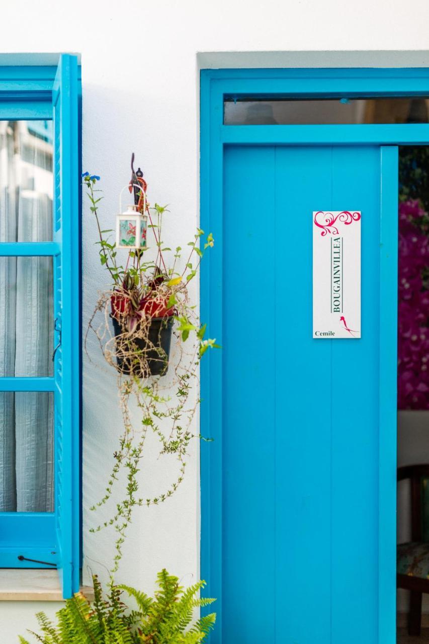 Cypriot Swallow Boutique Hotel Nicosia Exterior photo